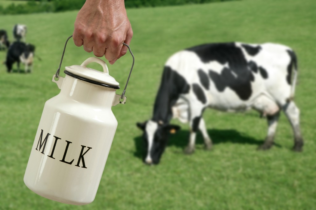 Cows_milk